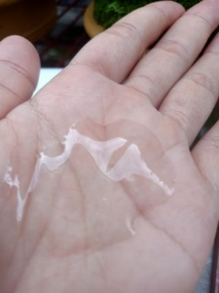 HuynhHuynh님이 올린 리뷰 사진 3