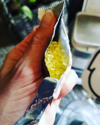 CrystalA님이 올린 리뷰 사진 3