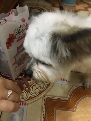 TiNguyn님이 올린 리뷰 사진 2