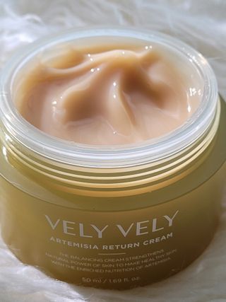 VELY VELY Artemisia Return Cream — 5점을 준 리뷰어가 2021년 4월 올린 사용 사진