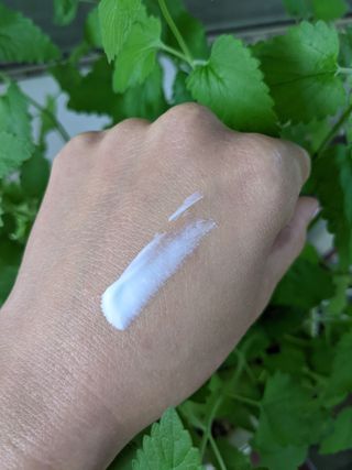 Misshell (미선)님이 올린 리뷰 사진 2