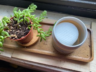 cynyc님이 올린 리뷰 사진 4