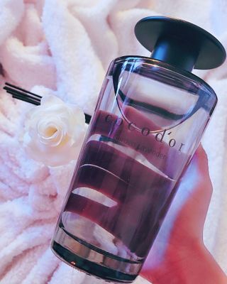 코코도르 디퓨저 120ml, 200ml, 500ml — 5점을 준 리뷰어가 2022년 2월 올린 사용 사진