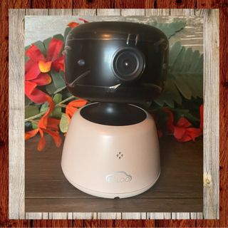 온습도 모니터와 스마트 리모컨이 탑재된 EGLOO cam S4 1080P Wi-Fi 스마트 카메라 — 5점을 준 리뷰어가 2021년 9월 올린 사용 사진