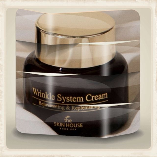 [THE SKIN HOUSE] Wrinkle System Cream 리뷰 사진