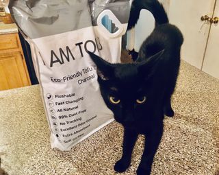 카미스쥬 KAMY 's ZOO I AM TOFU 프리미엄 천연 두부 고양이 쓰레기 숯 10LB — 5점을 준 리뷰어가 2021년 2월 올린 사용 사진