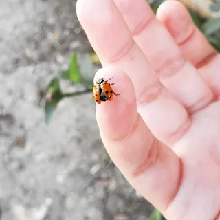 NathalieMoreno님이 올린 리뷰 사진 3