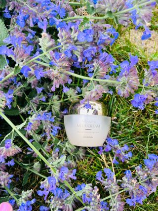Jutanhak 안티에이징 멜라 크림 50ml / 1.69oz 잡티 &amp; 다크 스팟 케어 하이드레이팅 크림 — 5점을 준 리뷰어가 2023년 7월 올린 사용 사진
