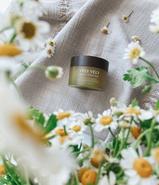 VELY VELY Artemisia Return Cream — 5점을 준 리뷰어가 2021년 4월 올린 사용 사진