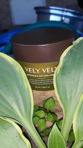 VELY VELY Artemisia Return Cream — 5점을 준 리뷰어가 2021년 4월 올린 사용 사진