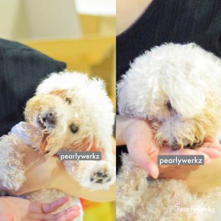 pearlytan님이 올린 리뷰 사진 2