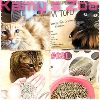 카미스쥬 KAMY 's ZOO I AM TOFU 프리미엄 천연 두부 고양이 쓰레기 숯 10LB — 5점을 준 리뷰어가 2021년 3월 올린 사용 사진