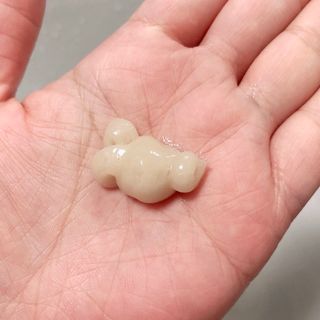 "ALA-C" 블랙 마늘 샴푸 + 컨디셔너 세트 — 4점을 준 리뷰어가 2022년 3월 올린 사용 사진