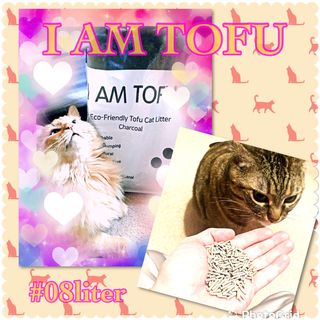 카미스쥬 KAMY 's ZOO I AM TOFU 프리미엄 천연 두부 고양이 쓰레기 숯 10LB — 5점을 준 리뷰어가 2021년 3월 올린 사용 사진