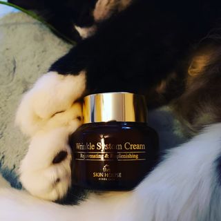 [THE SKIN HOUSE] Wrinkle System Cream — 4점을 준 리뷰어가 2021년 11월 올린 사용 사진