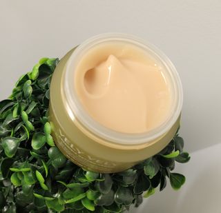 VELY VELY Artemisia Return Cream — 5점을 준 리뷰어가 2021년 4월 올린 사용 사진