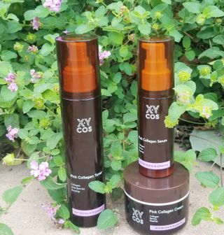 Pink Collagen Line [Toner, Serum, Cream] — 5점을 준 리뷰어가 2021년 10월 올린 사용 사진