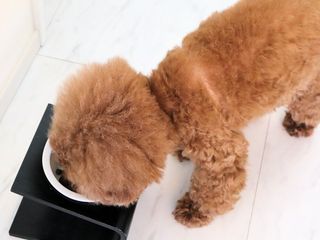 asaco님이 올린 리뷰 사진 4