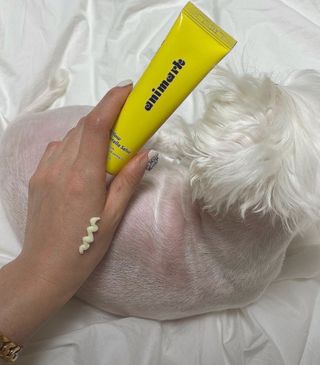 ThatsDavi님이 올린 리뷰 사진 3