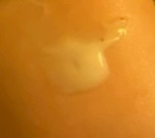 [THE SKIN HOUSE] Vita Snail Cream — 5점을 준 리뷰어가 2022년 2월 올린 사용 사진