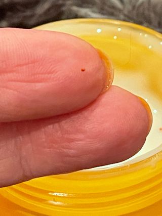 [THE SKIN HOUSE] Vita Snail Cream — 5점을 준 리뷰어가 2022년 4월 올린 사용 사진