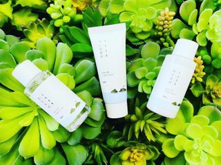 ROUND LAB 1025 DOKDO ON THE GO KIT — 5점을 준 리뷰어가 2021년 1월 올린 사용 사진