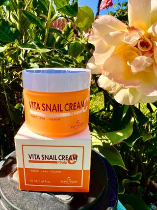 [THE SKIN HOUSE] Vita Snail Cream — 3.5점을 준 리뷰어가 2022년 4월 올린 사용 사진