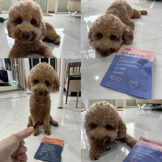 Janicefion님이 올린 리뷰 사진 4