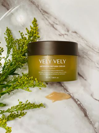 VELY VELY Artemisia Return Cream — 5점을 준 리뷰어가 2021년 4월 올린 사용 사진