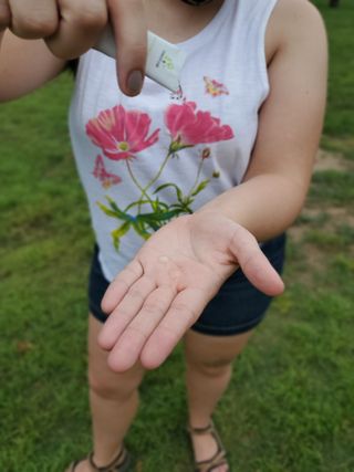 dewy_dweeb님이 올린 리뷰 사진 3
