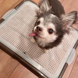 ASU님이 올린 리뷰 사진 2