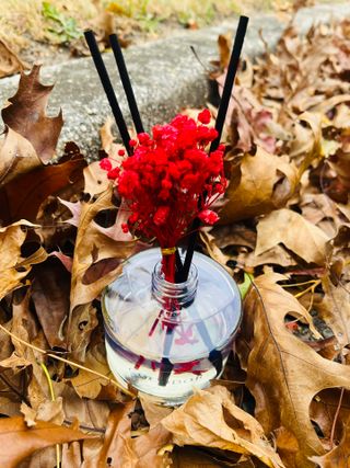 ellasolvesss님이 올린 리뷰 사진 4