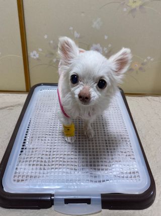 ロロ님이 올린 리뷰 사진 3