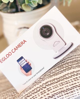 온습도 모니터와 스마트 리모컨이 탑재된 EGLOO cam S4 1080P Wi-Fi 스마트 카메라 — 4점을 준 리뷰어가 2021년 6월 올린 사용 사진
