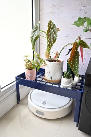 Imzuzu님이 올린 리뷰 사진 4