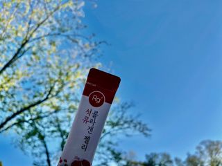 Yeobi님이 올린 리뷰 사진 3