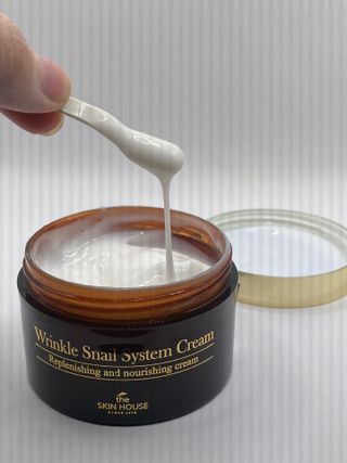 [THE SKIN HOUSE] Wrinkle Snail System Cream 100ml — 4.5점을 준 리뷰어가 2022년 1월 올린 사용 사진