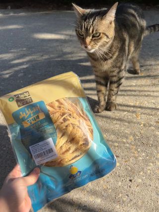 tani4ka님이 올린 리뷰 사진 3