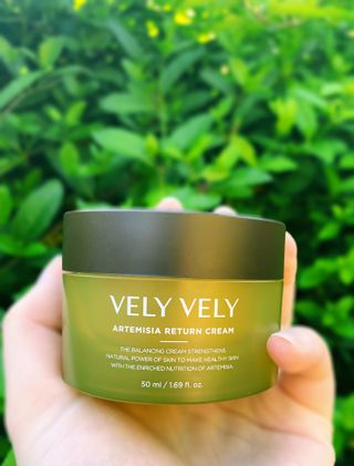 VELY VELY Artemisia Return Cream — 4.5점을 준 리뷰어가 2021년 4월 올린 사용 사진
