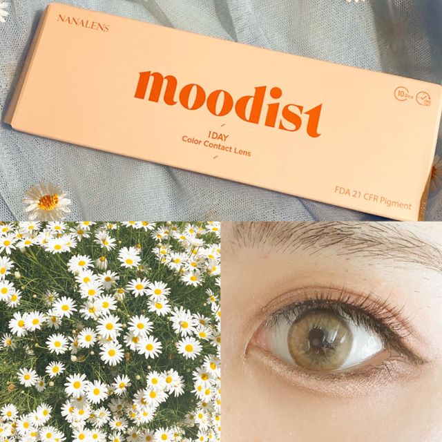 Moodist 1day 리뷰 사진