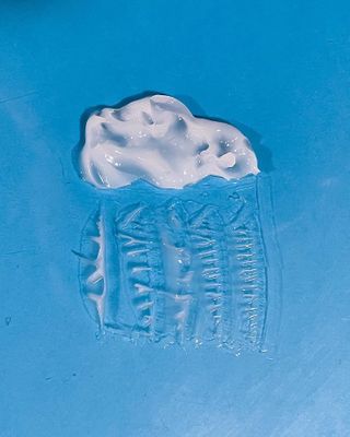 오드리앤영 하이 비건 얼스 워터 크림 80g — 5점을 준 리뷰어가 2021년 8월 올린 사용 사진