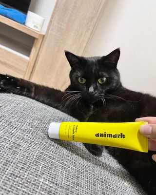 まい님이 올린 리뷰 사진 4