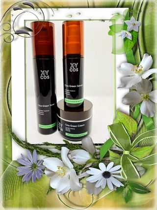 Cica Green Line [Toner, Serum, Cream] — 1점을 준 리뷰어가 2021년 9월 올린 사용 사진