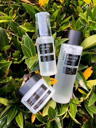 Black Snail Collagen Trio Set [Toner, Serum and Cream] — 5점을 준 리뷰어가 2021년 9월 올린 사용 사진