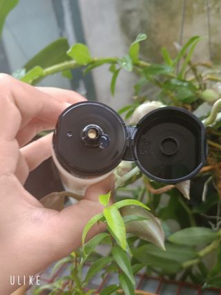 HuynhHuynh님이 올린 리뷰 사진 4