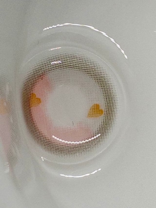 [렌스타운 글로벌] 핫토 리뷰 사진