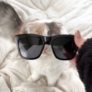 hana님이 올린 리뷰 사진 1