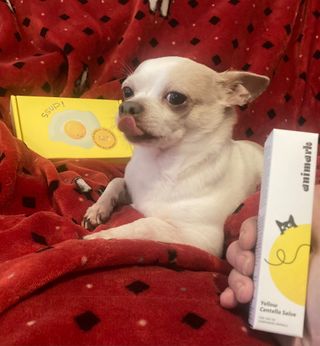 lindsayxann님이 올린 리뷰 사진 1