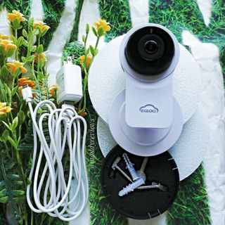 온습도 모니터와 스마트 리모컨이 탑재된 EGLOO cam S4 1080P Wi-Fi 스마트 카메라 — 5점을 준 리뷰어가 2021년 6월 올린 사용 사진