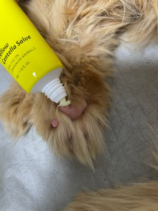 kamuna님이 올린 리뷰 사진 3